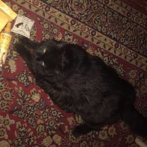 Meet your Posher, Verna